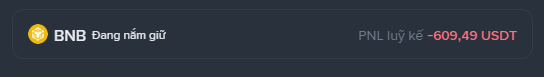 A trading interface snippet showing a position in BNB ('Đang nắm giữ') with an accumulated PNL of -609.49 USDT.