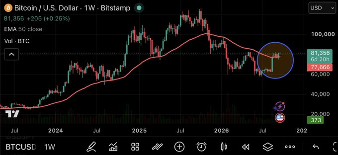 A financial chart displaying 'Bitcoin / U.S. Dollar · 1W · Bitstamp' on TradingView, showing the BTCUSD price at 81,356 with an EMA 50 indicator and a circled recent price action.