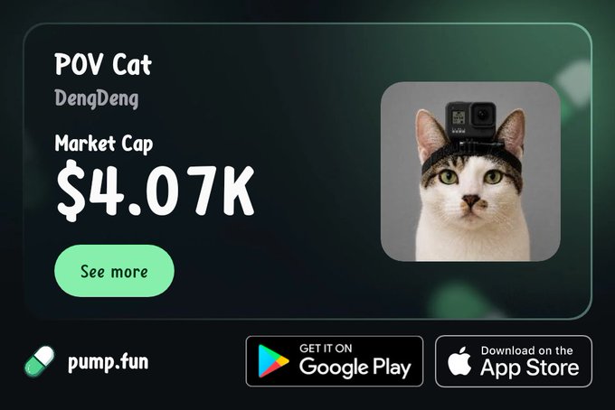 A promotional graphic for 'POV Cat DengDeng' on pump.fun, showing a market cap of $4.07K, a cat wearing a GoPro camera on its head, and Google Play and App Store download buttons.