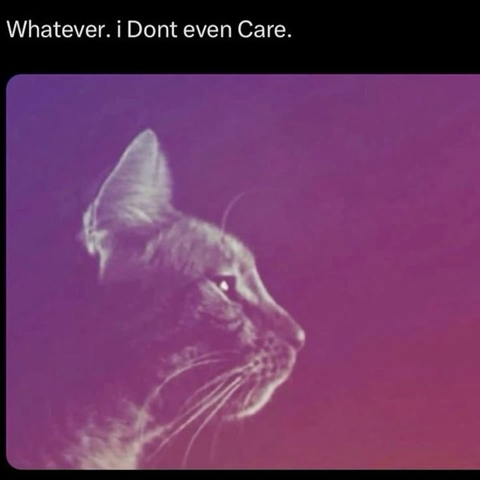 A meme image of a cat in profile looking unimpressed with the text 'Whatever. i Dont even Care.' at the top.