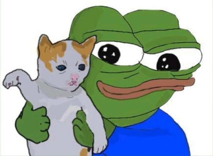 The classic 'Pepe the Frog' meme image showing the green cartoon character hugging a crying white and orange cat.