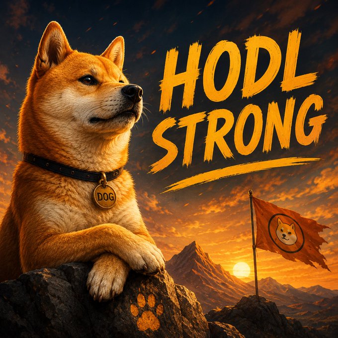 The image features a dog sitting on a rock, with an orange flag behind him that says "HODL STONG" written in yellow letters. The background of the image shows mountains under a sunset sky, creating a serene atmosphere. The text in the image is related to Bitcoin and cryptocurrency, discussing the importance of staying focused on the value of one's investments rather than being influenced by market fluctuations or the actions of others.