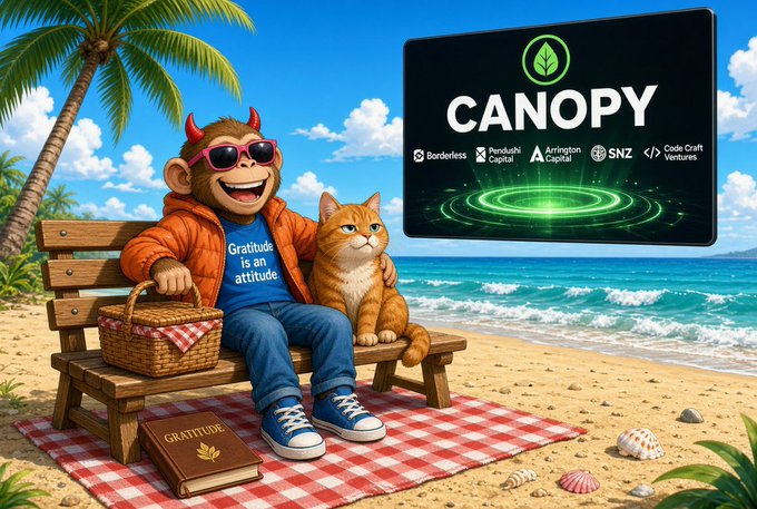 An illustration of a cartoon monkey in sunglasses with a shirt reading 'Gratitude is an attitude' sitting on a beach bench next to an orange cat, with a 'CANOPY' logo featuring backers like Borderless and Paradigm Capital displayed on a screen.