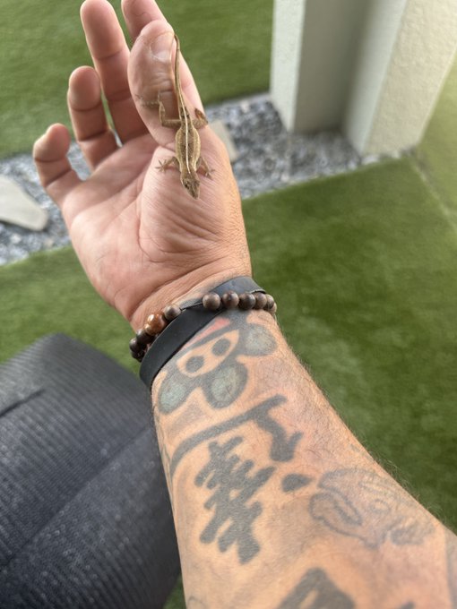 A close-up of a hand with Japanese kanji tattoos on the forearm, wearing beaded bracelets, with a small brown lizard resting on the palm against an outdoor background with artificial turf.