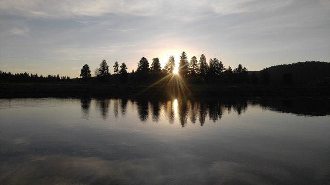 A serene landscape at sunset or sunrise shows the sun low on the horizon behind silhouetted pine trees, with its reflection mirrored in the calm water of a lake.