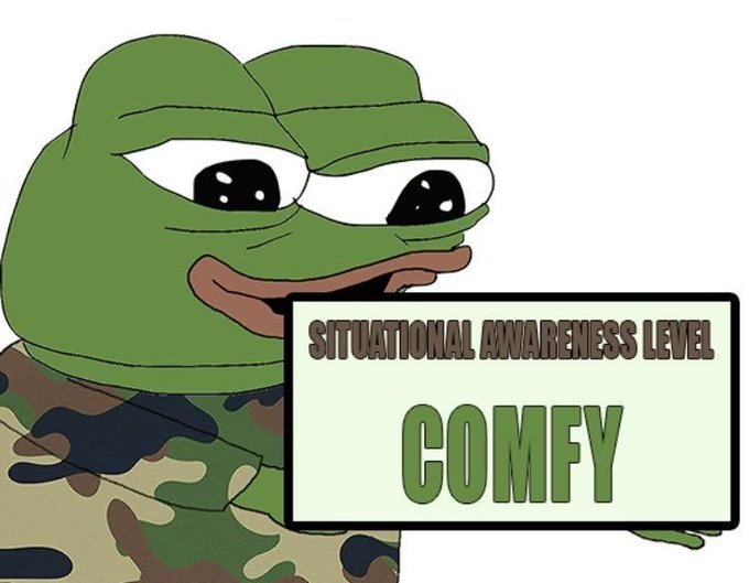 A Pepe the Frog meme wearing a camouflage shirt with a text box reading 'SITUATIONAL AWARENESS LEVEL: COMFY'.