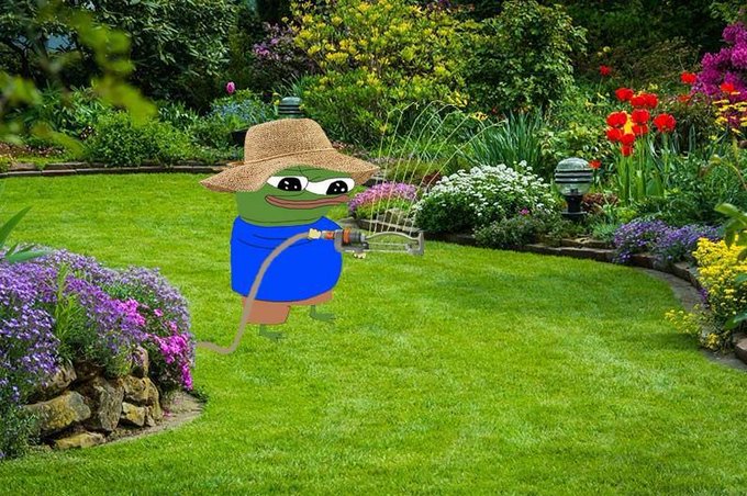 A cartoon frog character (Pepe) wearing a straw hat and blue shirt holding a hose in a vibrant green garden filled with colorful flowers and plants.