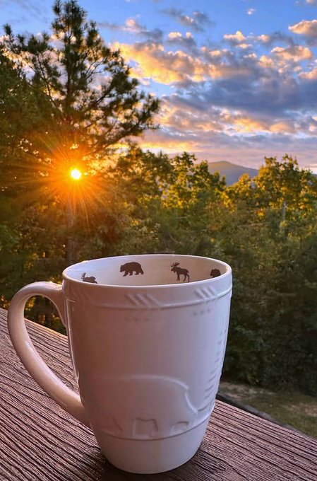 The image features a white mug with a bear design, placed on a wooden table or deck outside during sunrise or sunset. The mug has a handle and is positioned near the center of the frame. The background includes trees and mountains, creating a serene outdoor setting for enjoying a cup of coffee or tea. The photo also contains text that reads "good morning small steps big difference over time @quipnetwork → building a future where quantum and classical compute work together". This message suggests that even small actions can lead to significant changes in the long run, just like how the sun rising or setting can create a beautiful atmosphere for reflection and appreciation of life's simple pleasures.