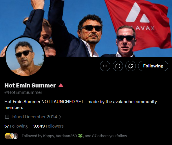 The image features a Twitter post from someone named Hot Emin Summer. She is promoting an event or product related to the Avalanche cryptocurrency. The post includes a photo of herself with sunglasses, which adds a personal touch to her promotion. The caption on the post reads "I'm done trading perps. It's time to focus on presales. @HotEminSummer is still pre-launch, and we all saw how AVAX season played out last year. The community is already putting in the work by posting, memeing, and building the culture before launch And AVAX has a history of". This post highlights the importance of community engagement and the role it plays in the success of such events or products.