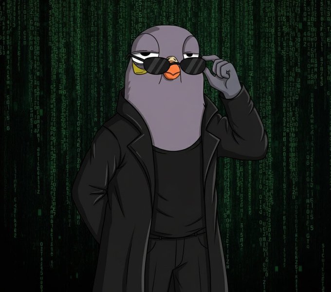 An illustrated pigeon wearing sunglasses and a black trench coat, standing against a backdrop of green Matrix-style digital code. The image reflects the post's theme of returning to the #Algofam community, with the "hacker" pigeon avatar evoking a sense of digital identity and crypto culture.