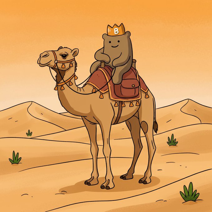 An illustration of a cute gray bear wearing a crown with the letter 'B', riding a camel across a desert landscape.