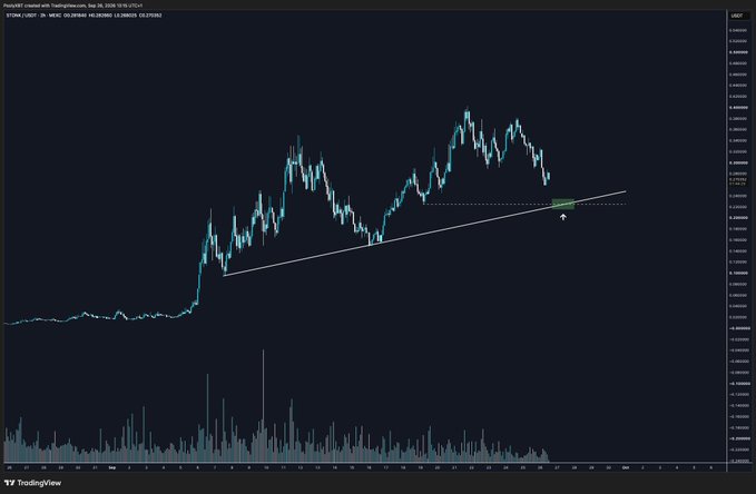 A TradingView chart shows the pair STONK/USDT on Poloniex with a 1-hour timeframe, displaying an ascending trendline that supports a bullish structure, with price currently retesting the $0.22 area (highlighted in green), aligning with the poster's desire to accumulate more at that lower level.