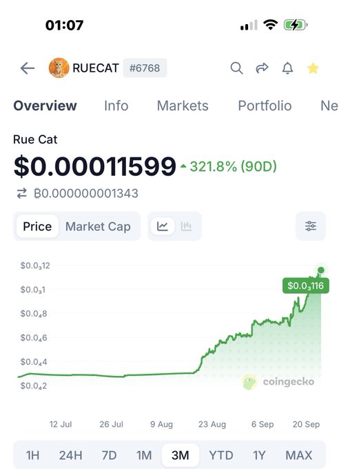 A CoinGecko mobile app screenshot showing the price of 'RUECAT #6768' meme coin at $0.00011599, up 321.8% over 90 days, with a 3-month price chart trending upward to a peak of $0.116.
