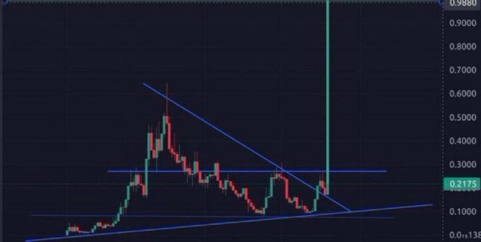 A cryptocurrency candlestick chart shows a sharp vertical price spike reaching approximately $0.9880 after a period of decline, with a descending triangle pattern outlined in blue and a horizontal support level marked at $0.2175. The dramatic breakout from the triangle pattern visually illustrates the post's suggestion of a memecoin poised for a significant upward move.