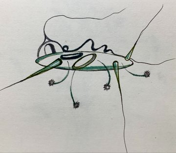 A hand-drawn sketch on white paper depicting a green, abstract creature with long limbs, antennae, and small tufted feet, possibly resembling an insect or alien-like figure.