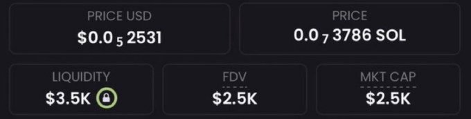 A cryptocurrency price dashboard showing 'PRICE USD $0.0,2531', 'PRICE 0.0,3786 SOL', 'LIQUIDITY $3.5K', 'FDV $2.5K', and 'MKT CAP $2.5K'.
