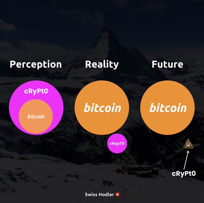 A Bitcoin-themed infographic showing 'Perception: crypto > bitcoin', 'Reality: bitcoin > crypto', and 'Future: bitcoin only (crypto = poop)', branded 'Swiss Hodler'.