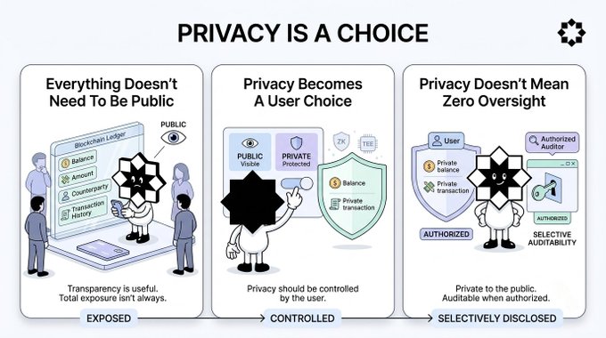 An infographic titled 'PRIVACY IS A CHOICE' with three panels: 'Everything Doesn't Need To Be Public' (Exposed), 'Privacy Becomes A User Choice' (Controlled), and 'Privacy Doesn't Mean Zero Oversight' (Selectively Disclosed).