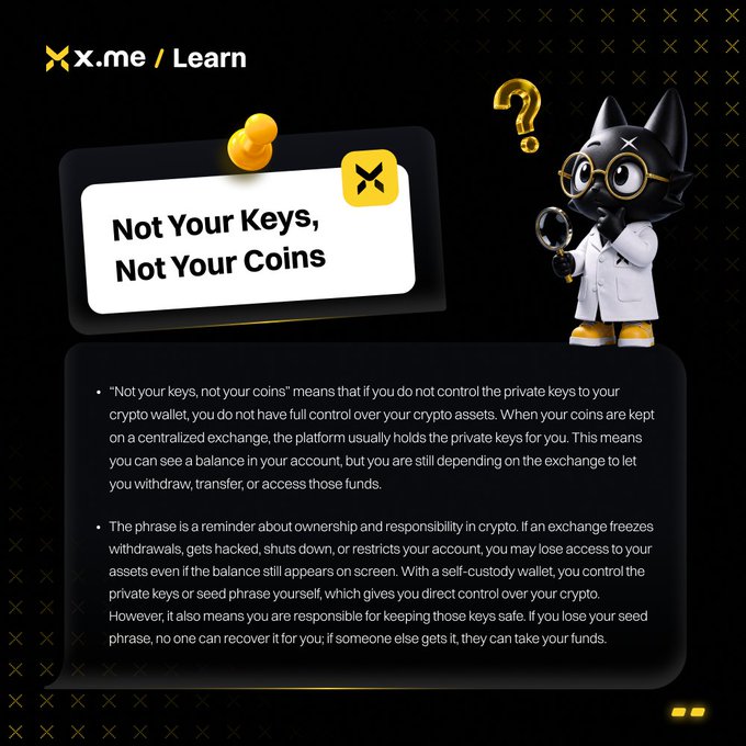 An X.me/Learn educational graphic featuring a black cat mascot in a lab coat holding a magnifying glass, explaining the crypto principle 'Not Your Keys, Not Your Coins' with detailed bullet points.