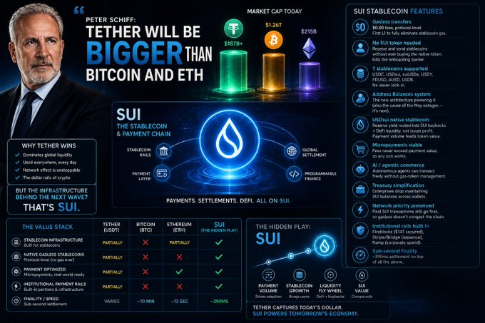 The poster displays a detailed infographic of Peter Schiff's views on stable coins, specifically Sui, and Bitcoin. The infographic features a blue circular design with a lightbulb symbol in the center, representing the concept of a stable coin. The infographic explains that even if someone strongly dislikes Bitcoin or prefers other cryptocurrencies like Ethereum, Peter Schumpeter still sees value in stablecoins such as Sui. This could be because stablecoins provide stability and security to businesses using them for payments or transactions, enabling them to fully evolve their systems and operations without relying on the unpredictable nature of traditional cryptocurrencies like Bitcoin. The infographic emphasizes that Bitcoin might still be a valuable asset if it's not the biggest play from here, referring to another potential cryptocurrency besides Bitcoin.