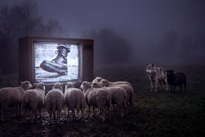 A surreal, dark scene shows a flock of sheep gathered around an old-fashioned television displaying a pair of rugged boots, while two wolves watch menacingly from the foggy background.