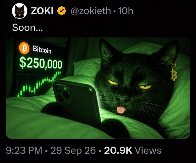 A tweet from @zokieth (@ZOKI) showing an AI-generated image of a black cat with a Bitcoin earring looking at a phone displaying "$250,000" Bitcoin, with the caption "Soon..." (9:23 PM · 29 Sep 26 · 20.9K Views).