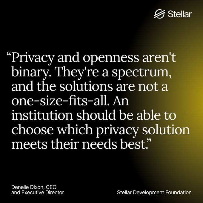 The image features a quote from an executive director of the Stellar Development Foundation about blockchain technology. The text reads "The benefit of blockchain adoption is that it doesn't need to be one-size-fits-all. For traditional finance, configurable privacy is a necessity, and it's built on Stellar." This quote emphasizes the importance of customization in both blockchain technology and privacy solutions for financial institutions.