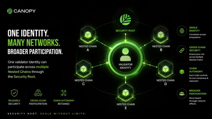 A promotional graphic for 'CANOPY' with the tagline 'ONE IDENTITY. MANY NETWORKS. BROADER PARTICIPATION,' showing a 'VALIDATOR IDENTITY' connected to multiple 'NESTED CHAIN' networks via a 'SECURITY ROOT' with features like Single Identity, Cross-Chain Security, and Chain Autonomy.