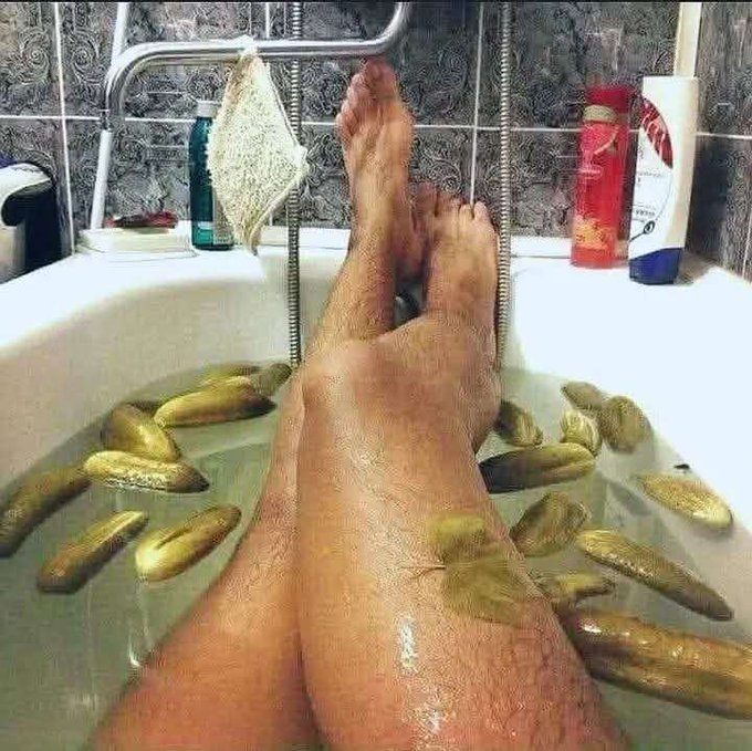 A person's bare legs propped up in a bathtub filled with water and several large pickles.