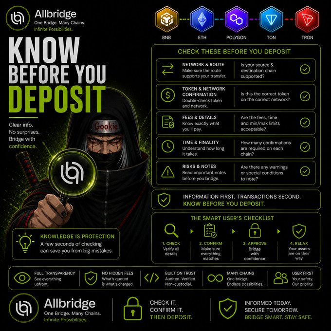 An infographic for Allbridge titled 'KNOW BEFORE YOU DEPOSIT' featuring a ninja character, a checklist for deposits across BNB, ETH, Polygon, TON, and Tron networks, and tips emphasizing transparency and safety.