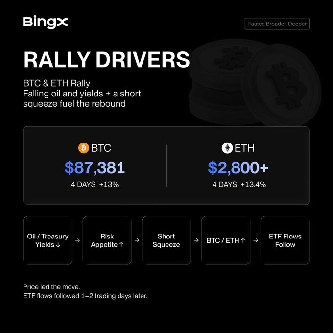 A BingX branded graphic titled 'RALLY DRIVERS' explaining a BTC and ETH rally, showing BTC at $87,381 (+13% over 4 days) and ETH at $2,800+ (+13.4% over 4 days), with a flow diagram illustrating the sequence: Oil/Treasury Yields down → Risk Appetite up → Short Squeeze → BTC/ETH up → ETF Flows Follow.