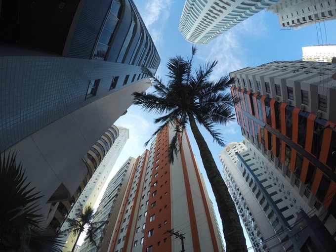 A low-angle photograph looking up at modern high-rise buildings in orange, white, and blue colors, with a tall palm tree standing in the center against a blue sky.