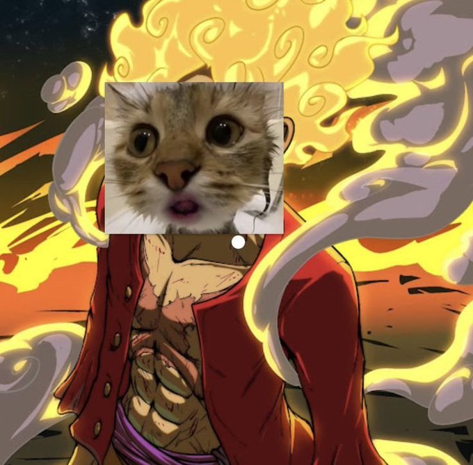 A surreal edit features a shocked cat's face photoshopped onto the iconic One Piece character Monkey D. Luffy, who stands engulfed in fiery flames and smoke as if activating his Gear 5 "Sun God" Nika transformation. The humorous, intense meme aligns perfectly with the bullish post "GM 𝕏 Small moves today Big wins tomorrow," using the explosive power-up imagery to hype up small daily gains leading to massive future success.