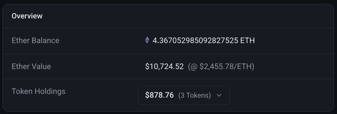 An Ethereum wallet overview showing a balance of 4.367 ETH ($10,724.52) and token holdings valued at $878.76 across 3 tokens.