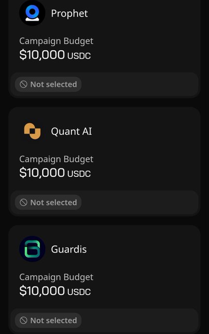 The image shows a phone screen with three different campaign budgets displayed, including one for Guardis. The budget for Guardis is $10,000 USDC. The other two campaigns are named Campaign Budget and Campaign Budget Select. The text on the screen indicates that these projects have not been selected yet.