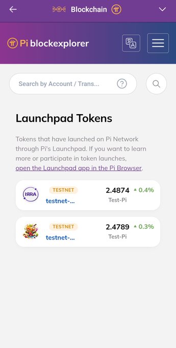 A Pi blockchain explorer mobile app screenshot displaying the Launchpad Tokens section with two testnet tokens showing prices of 2.4874 and 2.4789 Test-Pi.