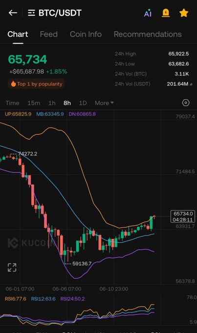 The image displays a detailed stock market trading dashboard, with real-time information showing a downward trend for Bitcoin. The chart spans from $65,734 to $66,735, indicating a decrease or decline in the price of Bitcoins. This graph is useful for analyzing and making informed decisions about crypto currency investments.
