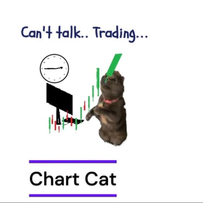 A kitten stands on its hind legs in front of a computer monitor displaying a green rising candlestick chart and an analog clock, beneath the handwritten-style text "Can't talk.. Trading..." and the bold label "Chart Cat." The image directly ties to the post by personifying a focused trader watching the $CHART token on Solana, with the cat's "trading" posture and bullish green candles symbolizing the early but promising chart action the post describes.