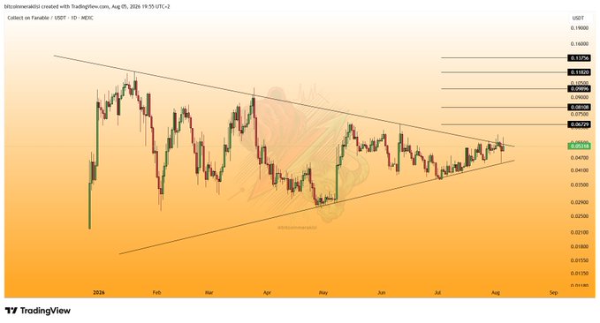 A TradingView daily candlestick chart for $COLLECT/USDT on MEXC shows the token consolidating within a symmetrical triangle pattern between roughly $0.025 and $0.065 from late 2023 through August 2024, currently trading near $0.053 after a failed breakout above the descending trendline resistance.
