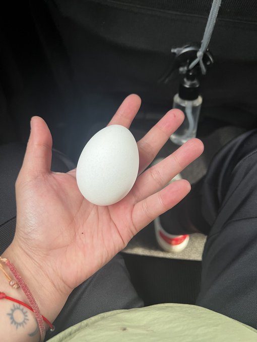 A hand holds a smooth white oval object, possibly an egg, inside a car with a spray bottle visible in the background.