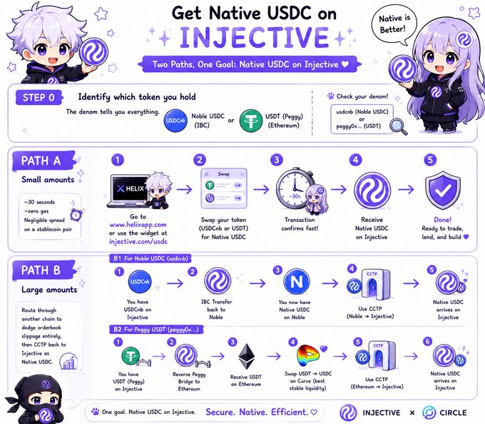An infographic titled 'Get Native USDC on INJECTIVE' detailing two paths (A for small amounts via Helix.app, B for large amounts via IBC/CCTP transfers) to convert USDC variants into Native USDC on the Injective blockchain, featuring anime-style characters and the tagline 'Two Paths, One Goal: Native USDC on Injective.'