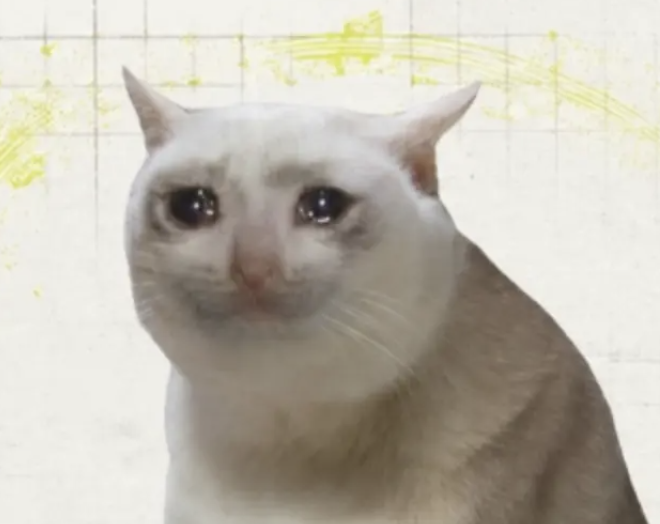 A wide-eyed white cat with a smirking expression is featured prominently in the image, visually representing the $CASHCAT memecoin discussed in the post, where the cat's confident, knowing smirk humorously mirrors the bold conviction behind holding the token through predicted price milestones of $1B and $10B market caps.