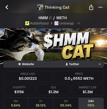 A cryptocurrency token dashboard for "Thinking Cat" ($HMM) displayed on Robinhood via Uniswap V3, showing a price of $0.001223 USD (0.00065552 WETH), a market cap of $1.2M, and a 9.84% gain over 5 minutes, reflecting the post's mention of $HMM "going crazy" after launching on WireBot.