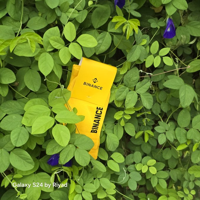 A yellow Binance-branded item lies among green leaves and purple flowers, with text in the corner reading 'Galaxy S24 by Riyad'.