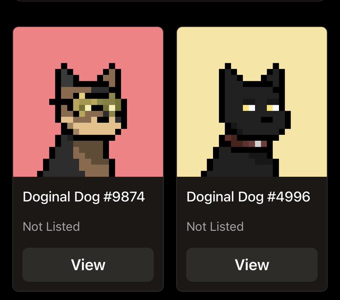 Two NFT listings displayed on a dark interface: 'Doginal Dog #9874' on a pink background and 'Doginal Dog #4996' on a yellow background, both marked as 'Not Listed' with 'View' buttons.