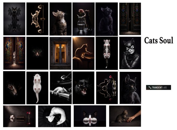 A dark-themed grid collage titled 'Cats Soul' by TRANSIENT LABS, featuring moody photographs and illustrations of black cats.