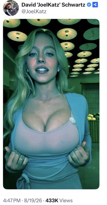 A tweet from David 'Joel Katz' Schwartz (@JoelKatz) featuring a photo of a blonde woman, dated 4:47 PM 8/19/26 with 433K views.