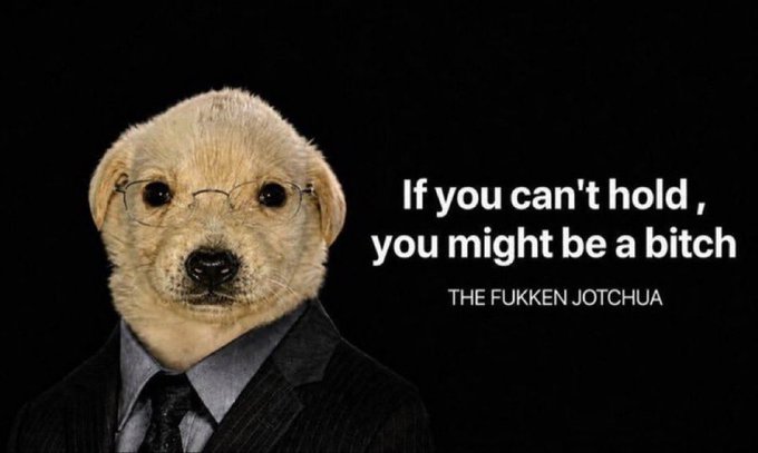 A golden retriever wearing glasses and a suit appears alongside the text "If you can't hold, you might be a bitch - THE FUKKEN JOTCHUA." The image humorously encourages diamond hands and resilience, reinforcing the post's message about $Jotchua being a major movement on Solana that holders shouldn't miss out on.