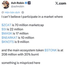 An X.com post by user 'Ash Robin (@ashrobin)' stating 'I can't believe I participate in a market where', listing marketcaps for ZCAT ($70M), Si ($22M), MASK ($17M), SNARKA ($10M), and KNOTS ($9M), concluding that $STONK at 208M with 20% burn is 'mispired'.