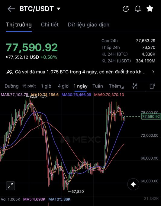 A trading chart for BTC/USDT showing a price of 77,590.92 USD (+0.58%) on the MEXC platform, with a 24h high of 77,653.29 and 24h low of 76,370 displayed in Vietnamese.
